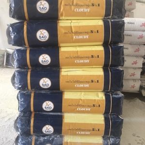 Bột trét tường Thái Lan Cloudy 9999 nội & ngoại thất